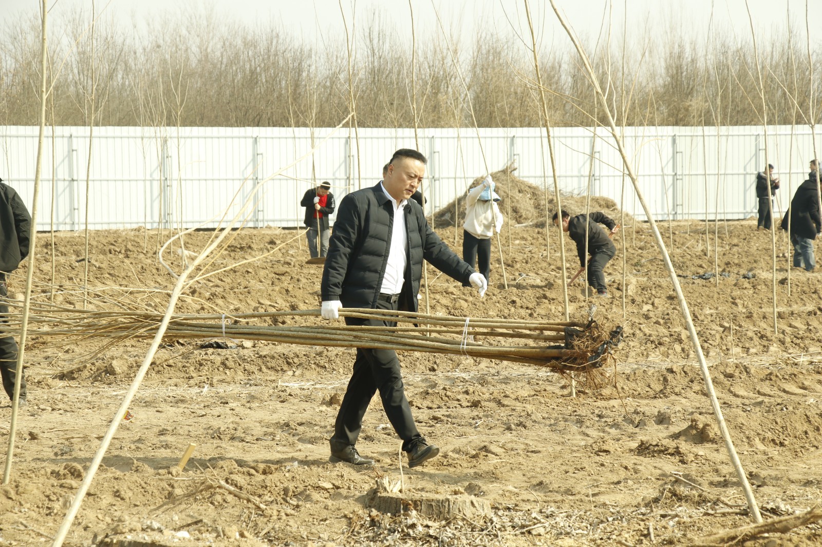 1773711906979648.jpg 1773711895698699.jpg